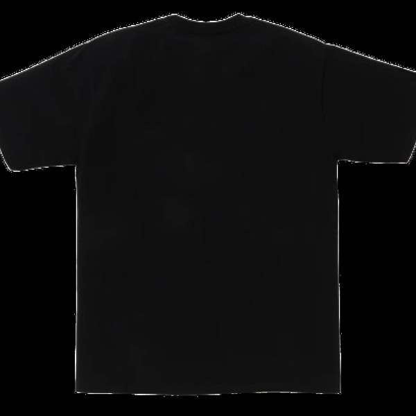 베이프 온라인 한정 베이프 닷컴 빅 비지 워크스 베이펙스 반팔티 2컬러 1L25110010