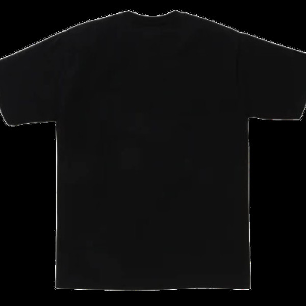 베이프 재팬 베이비 마일로 반팔티 2컬러 2L22110005