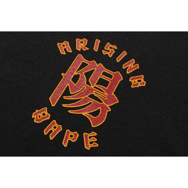 베이프 어 라이징 베이프 롱슬리브 티셔츠 2컬러 1L70111001