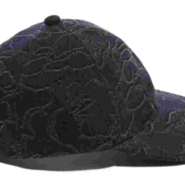 베이프 라인 카모 자카드 멀티 로고 데님 캡 2컬러 1L30180302