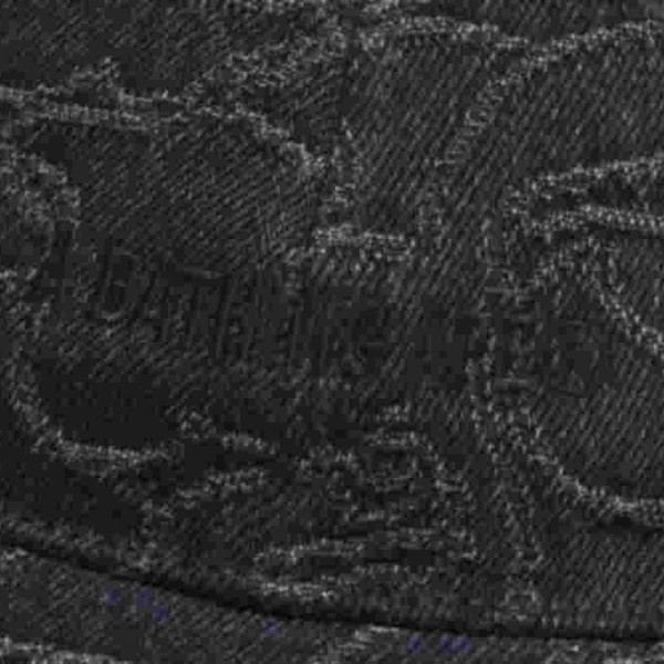 베이프 라인 카모 자카드 멀티 로고 데님 캡 2컬러 1L30180302